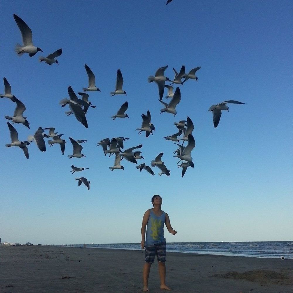 Meet your Posher, Luan